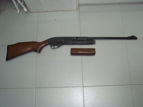 Hola,

Gamo G1200 para restaurar ó para recambios. 
Madera y metal en muy buen estado. 
Falta alza, muelle 02