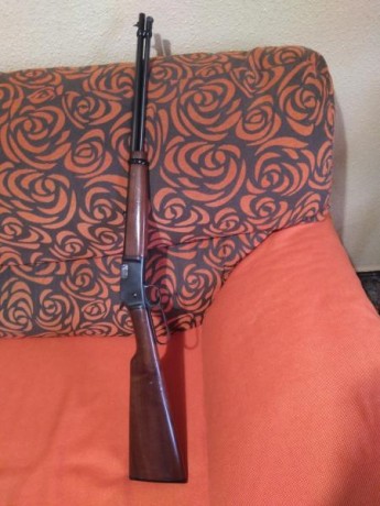 Vendo dos carabinas de palanca, una Miroku y una Brownig del calibre 22, las dos disparan el 22 Short 01