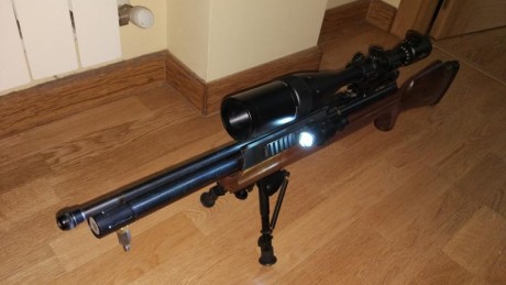 Muy a mi pesar vendo esta hatsan con el equipo completo, que consta de visor vector optics 10x40, monturas 02