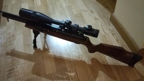 Muy a mi pesar vendo esta hatsan con el equipo completo, que consta de visor vector optics 10x40, monturas 00