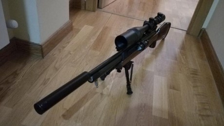 Muy a mi pesar vendo esta hatsan con el equipo completo, que consta de visor vector optics 10x40, monturas 11