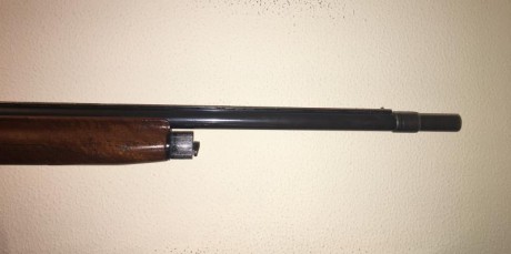   Vendo  Benelli mod . 121 con barichoque exterior a un precio excepcional, 250 euros.
Espero una buena 01