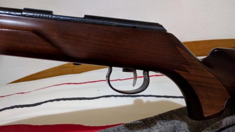 Bueno por cambio a un projecto nuevo vendo esta magnifica carabina de Mini F-Class y Bench Rest Light 10