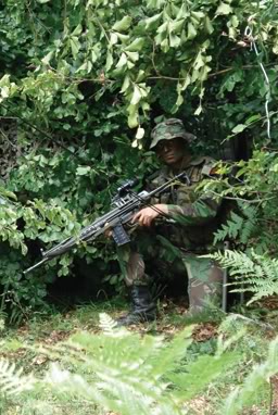 Se trata de "matizar" el arma y calibre... mas aún partiendo que antes tenían su versión de 80