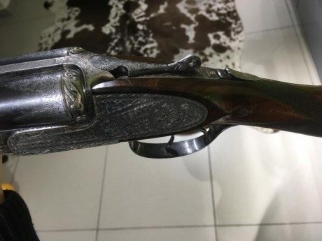 Os pido consejo:

Llevo tiempo buscando una escopeta plana para darme el gustazo en el armero y ocasiones 60