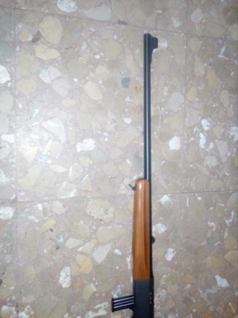 CARABINA CAL 22 LR CON CARGADOR DE 10
MODELO 520 PRECIO 200E 01