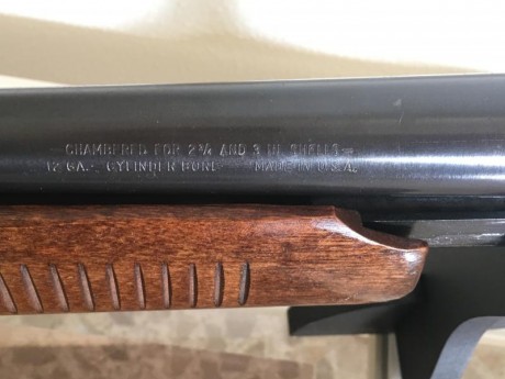 Vendo escopeta corredera MOSBERG cañón de 50 SLUG 2 3/4 y 3"
Pocos tiros, muy buen estado 
Precio 00