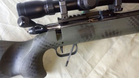 Se vende Carabina 22LR ANSCHÜTZ, Campeona de Madrid de FClass en el 2014, cañón X.
Va completada con carril 10