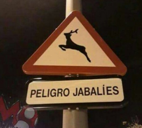 ¡Muy buenas a todos!

Estaba dando un paseo por el foro, cuando me he dado cuenta de que no había un hilo 50