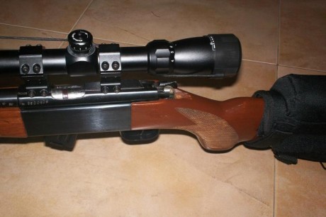 Vendo carabina Norinco JW27 impecable,con 2 cargadores uno de 5 y otro de 10,visor Diana 4-16x42 con reticula 01