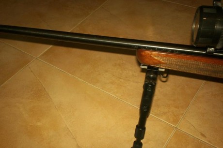 Vendo carabina Norinco JW27 impecable,con 2 cargadores uno de 5 y otro de 10,visor Diana 4-16x42 con reticula 00