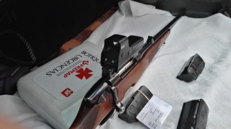 Cambio Steyr Manlicher cal. 270 con pelo, 4 cargadores, bases, anillas de 30 y carril para Holografico,todo 00