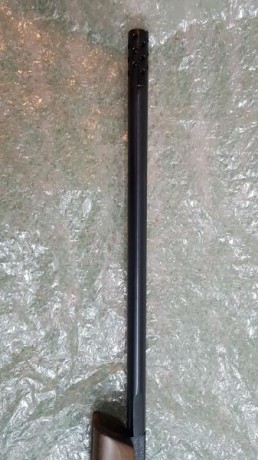 Se vende carabina cometa fusion star gp mkii. comprada el 26 de diciembre de 2017.
apenas usado.
envio 12