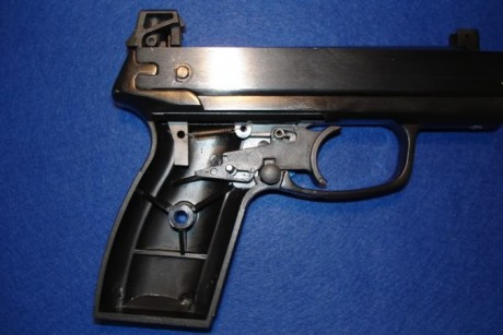 Según la web de Gamo, la diferencia entre ambas, es sólo que la AF10 tiene cargador para 10 tiros y la 141