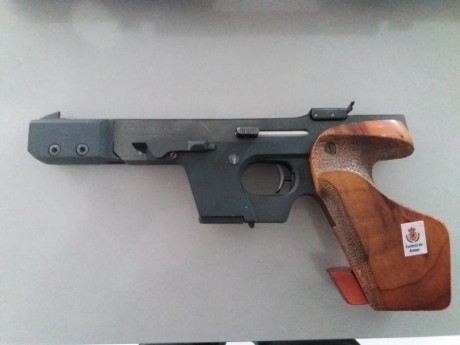 Hola..vendo walter gps calibre 22 en perfecto estado, la vendo con dos cargadores contrapeso maletín y 01