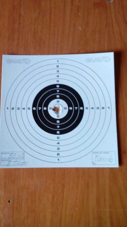 Llevo con la FX 1 mes y me ha decepcionado en cuanto a velocidades. Me gusta usar HN barracuda de 21 grains 111