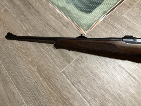 Hola a todos.
Vendo rifle Sauer 202 calibre 8x68S. Muy buen estado por haber tenido poco uso.
Lleva las 20