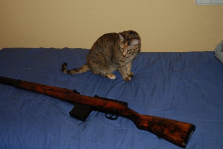 Hola,
Vengo observando que muchas fotografías de armas que se hacen, se hacen sobre la colcha de la cama...¿Acaso 50