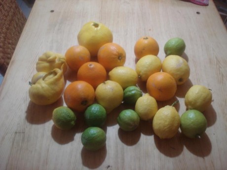 Suma y sigue...  :zebFat: 172