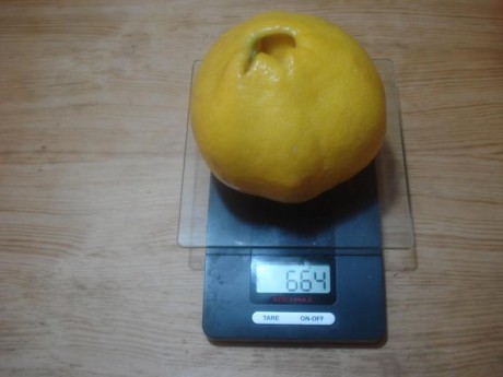 Suma y sigue...  :zebFat: 171