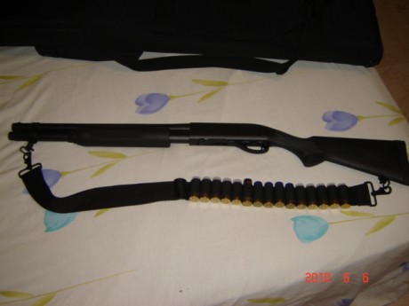Hola,
Vengo observando que muchas fotografías de armas que se hacen, se hacen sobre la colcha de la cama...¿Acaso 90
