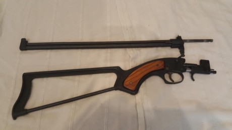Hola , buenas noches a todos,vendo carabina de supervivencia bronco del 22 ,tiene insertos en madera artesanales 02