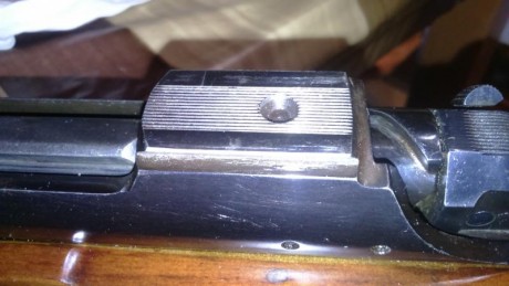 Hola a todos.  Ante mi ignorancia en el tema me encuentro con que tengo claramente un rifle con base delantera 02