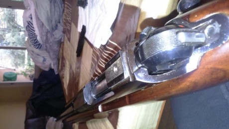Hola a todos.  Ante mi ignorancia en el tema me encuentro con que tengo claramente un rifle con base delantera 01