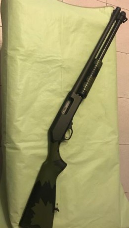 Fabarm brescia 12 camuflaje.
Vendo Fabarm Brescia de corredera / trombón, calibre 12-70 y 12-76 magnum, 00