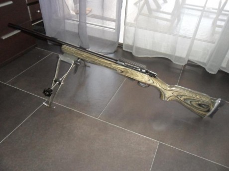 Lo cambiaría por armas de aire comprimido corta o larga de similar valor y pudiendo ajustar diferencias, 02