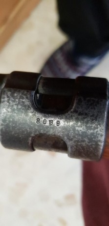Hola compañeros acabo de adquirir  este fusil y la verdad es que lleva gran cantidad de marcajes lo cuales 21