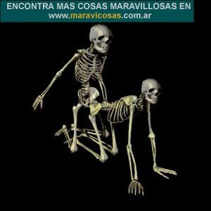 Estoy armando un bergantin-goleta para la guerra al corso y no se que artilleria poner a bordo.

Mide 81