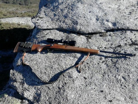 En fin, como he dado el coñazo con el tema de los "entrada de gama" y por fin he encontrado 160
