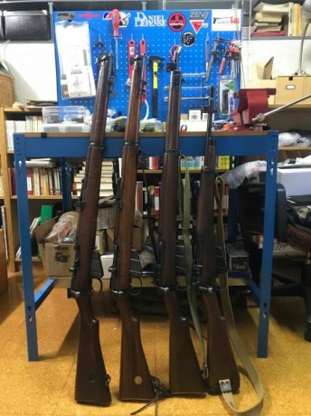 Hola a todos recientemente e estado pensando ir poco a poco haciéndome con rifles reglamentarios de la 50