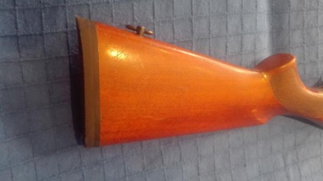 Se vende escopeta Fabarm modelo Ellegi repetidora/semiautomatica calibre 12 de gases, recién revisada 11