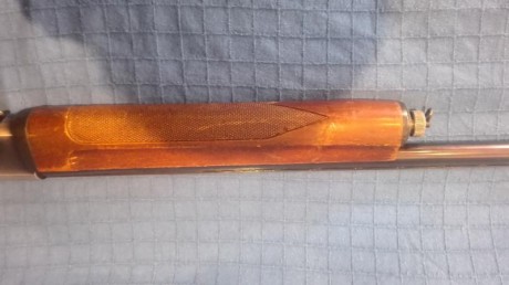 Se vende escopeta Fabarm modelo Ellegi repetidora/semiautomatica calibre 12 de gases, recién revisada 21