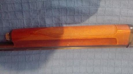 Se vende escopeta Fabarm modelo Ellegi repetidora/semiautomatica calibre 12 de gases, recién revisada 30