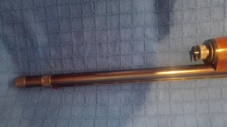 Se vende escopeta Fabarm modelo Ellegi repetidora/semiautomatica calibre 12 de gases, recién revisada 41