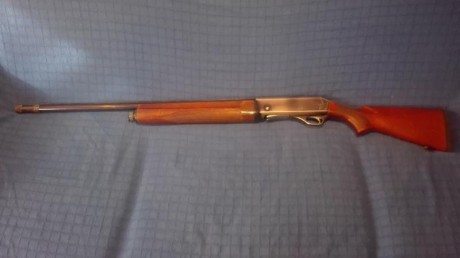 Se vende escopeta Fabarm modelo Ellegi repetidora/semiautomatica calibre 12 de gases, recién revisada 40