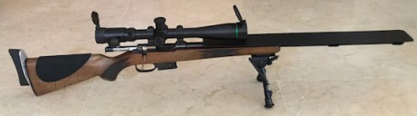 Por dejar la modalidad vendo mi 222 Remington.
Fusil CZ 527 varmint
anillas de 30 mm (son especiales pues 01