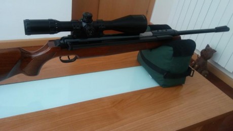 Por cuestiones familiares, vendo mis colección de carabinas marca diana:



-Carabina diana 52 TO1 del 00