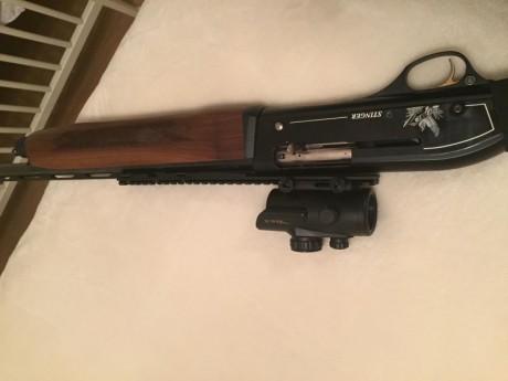 Vendo escopeta repetidora Stinger calibre 20 con regalo de punto rojo.
Es un modelo muy nuevo, la compré 02