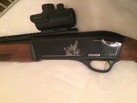Vendo escopeta repetidora Stinger calibre 20 con regalo de punto rojo.
Es un modelo muy nuevo, la compré 01