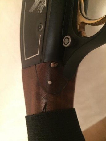 Vendo escopeta repetidora Stinger calibre 20 con regalo de punto rojo.
Es un modelo muy nuevo, la compré 00