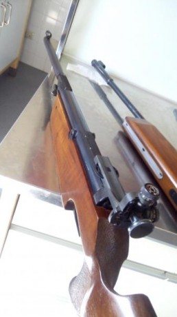 Vendo este magnífico ejemplar de tiro olímpico de Diana Modelo 66. Máxima expresión del sistema Guiss 01