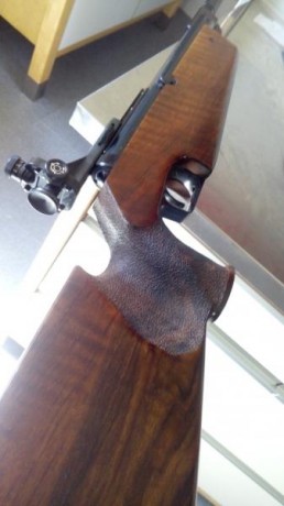 Vendo este magnífico ejemplar de tiro olímpico de Diana Modelo 66. Máxima expresión del sistema Guiss 00