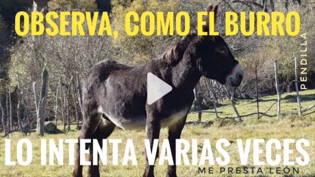 ¡Muy buenas a todos!

Estaba dando un paseo por el foro, cuando me he dado cuenta de que no había un hilo 170