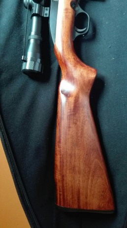 Hola:
Un amigo vende está carabina.
Solo ha tirado 30 balas.
Viene con lo que veis en las fotos, funda 10