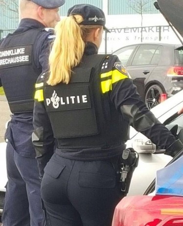 ¡Muy buenas a todos!

Estaba dando un paseo por el foro, cuando me he dado cuenta de que no había un hilo 03