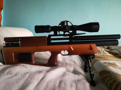 Vendo Kaliber Cricket 5.5 en muy buen estado.equipada con 3 cargadores, tornillo regulador de potencia, 01